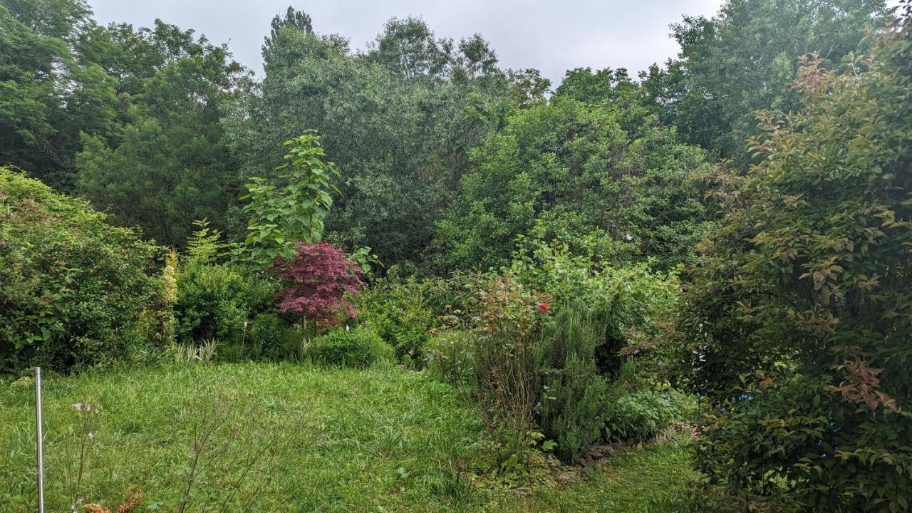 20 Min Nach Wien, Ruhig Und Gruen Klosterneuburg Exteriör bild